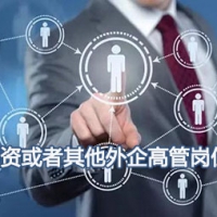 李先生-德资或者其他外企高管岗位