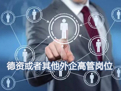李先生-德资或者其他外企高管岗位
