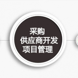 李女士-采购,供应商开发,项目管理等